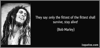 66_Vaerman_quote Bob Marley.jpg