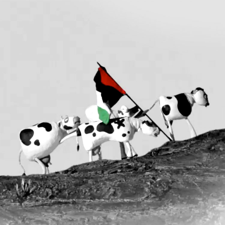 69_herremans_The-Wanted-18-Palestine.jpg
